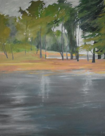 Susan Murphy, Lake Sambell in Fog Beechworth, 2019, oil on board, 750 x 640mm