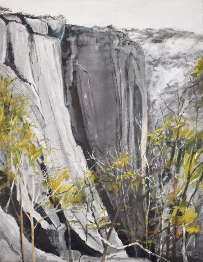 Susan Murphy, Looking Deep, The Gorge, Mt Buffalo, 2020, oil on board, 750 x 640mm