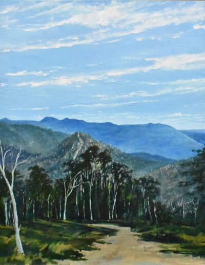 Susan Murphy, Buffalo from Deamon Ridge, 2020, oil on board, 750 x 640mm framed size