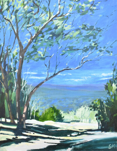 Susan Murphy, Summer, Mt Pilot, 2021, 550 x 480mm framed size